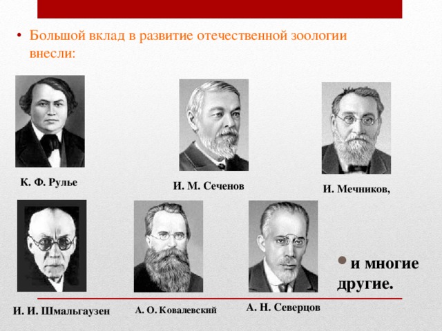 Большой вклад в развитие отечественной зоологии внесли:                    К. Ф. Рулье И. М. Сеченов И. Мечников, и многие другие.