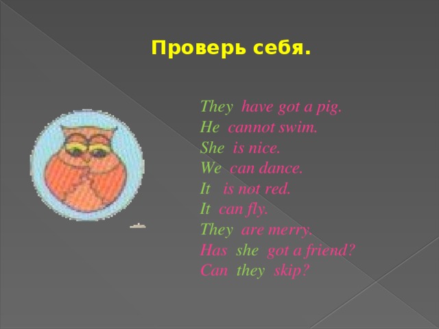 Проверь себя. They have got a pig. He cannot swim. She is nice. We can dance. It is not red. It can fly. They are merry. Has she got a friend? Can they skip?