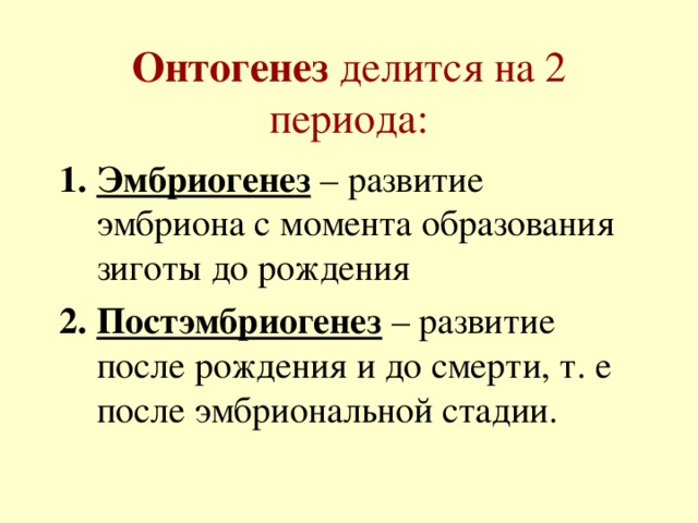 Онтогенез  делится на 2 периода: