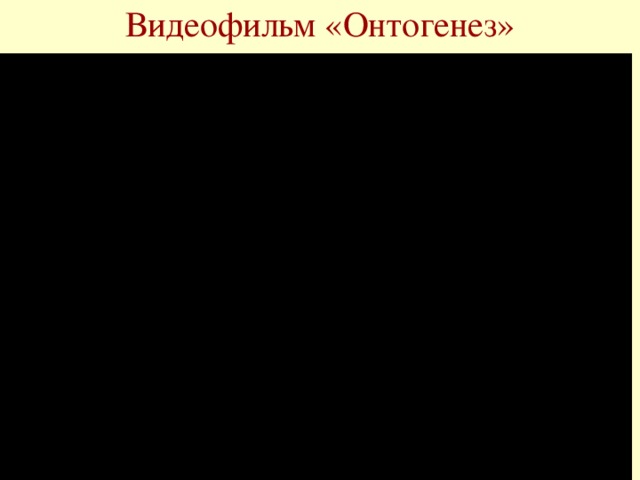 Видеофильм «Онтогенез»