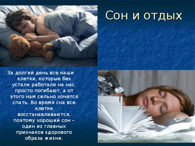 Сон и отдых За долгий день все наши клетки, которые без устали работали на нас, просто погибают, а от этого нам сильно хочется спать. Во время сна все клетки восстанавливаются, поэтому хороший сон – один из главных признаков здорового образа жизни.