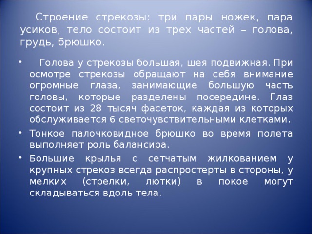 Строение стрекозы: три пары ножек, пара усиков, тело состоит из трех частей – голова, грудь, брюшко.