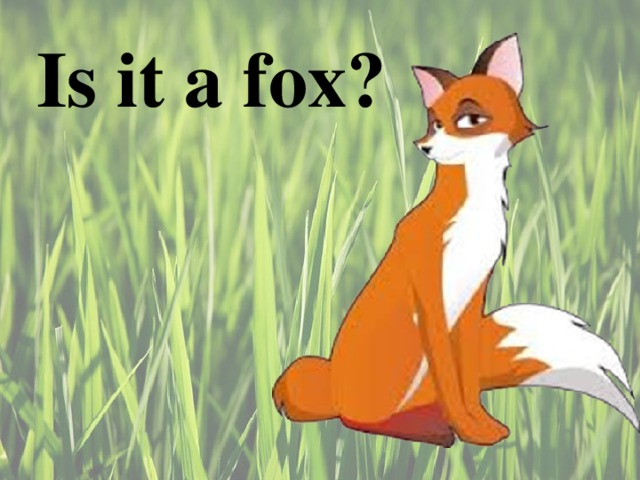 Is it a fox ?