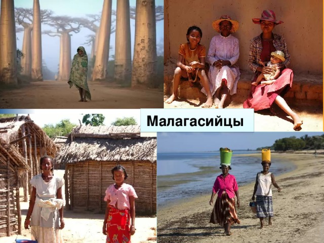 Малагасийцы