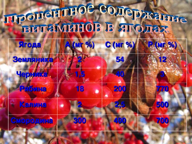 Ягода А (мг %) Земляника 2 Черника С (мг %) 1,5 Рябина 54 Р (мг %) 12 18 40 Калина 3 200 2 Смородина 770 300 2,5 500 400 700