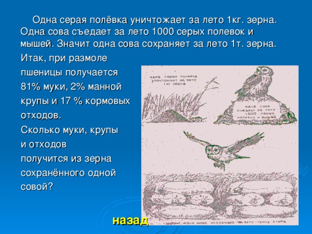 Одна серая полёвка уничтожает за лето 1кг. зерна. Одна сова съедает за лето 1000 серых полевок и мышей. Значит одна сова сохраняет за лето 1т. зерна. Итак, при размоле пшеницы получается 81% муки, 2% манной крупы и 17 % кормовых отходов. Сколько муки, крупы и отходов получится из зерна сохранённого одной совой?  назад