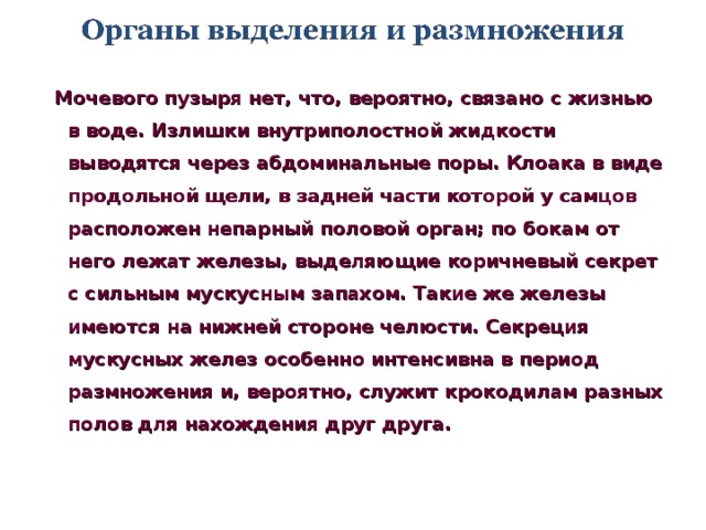 Мочевого пузыря нет, что, вероятно, связано с жизнью в воде. Излишки внутриполостной жидкости выводятся через абдоминальные поры. Клоака в виде продольной щели, в задней части которой у самцов расположен непарный половой орган; по бокам от него лежат железы, выделяющие коричневый секрет с сильным мускусным запахом. Такие же железы имеются на нижней стороне челюсти. Секреция мускусных желез особенно интенсивна в период размножения и, вероятно, служит крокодилам разных полов для нахождения друг друга.