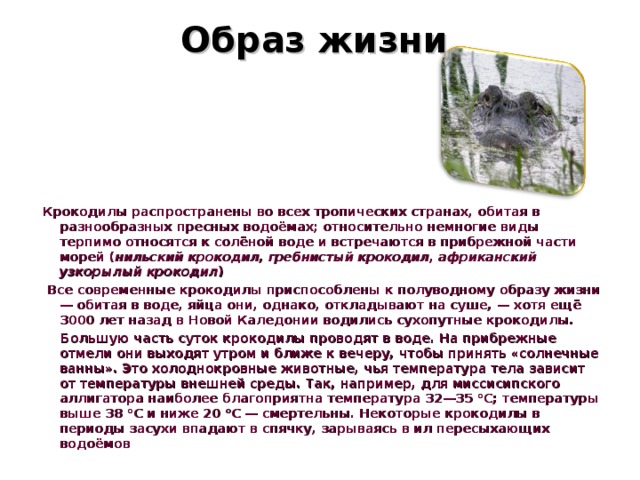 Образ жизни     Крокодилы распространены во всех тропических странах, обитая в разнообразных пресных водоёмах; относительно немногие виды терпимо относятся к солёной воде и встречаются в прибрежной части морей ( нильский крокодил, гребнистый крокодил, африканский узкорылый крокодил )  Все современные крокодилы приспособлены к полуводному образу жизни — обитая в воде, яйца они, однако, откладывают на суше, — хотя ещё 3000 лет назад в Новой Каледонии водились сухопутные крокодилы.  Большую часть суток крокодилы проводят в воде. На прибрежные отмели они выходят утром и ближе к вечеру, чтобы принять «солнечные ванны». Это холоднокровные животные, чья температура тела зависит от температуры внешней среды. Так, например, для миссисипского аллигатора наиболее благоприятна температура 32—35 °C; температуры выше 38 °C и ниже 20 °C — смертельны. Некоторые крокодилы в периоды засухи впадают в спячку, зарываясь в ил пересыхающих водоёмов