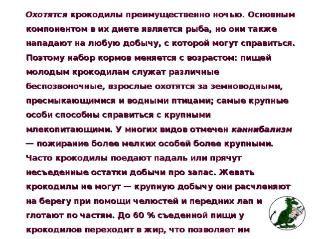 Охотятся крокодилы преимущественно ночью. Основным компонентом в их диете является рыба, но они также нападают на любую добычу, с которой могут справиться. Поэтому набор кормов меняется с возрастом: пищей молодым крокодилам служат различные беспозвоночные, взрослые охотятся за земноводными, пресмыкающимися и водными птицами; самые крупные особи способны справиться с крупными млекопитающими. У многих видов отмечен каннибализм — пожирание более мелких особей более крупными. Часто крокодилы поедают падаль или прячут несъеденные остатки добычи про запас. Жевать крокодилы не могут — крупную добычу они расчленяют на берегу при помощи челюстей и передних лап и глотают по частям. До 60 % съеденной пищи у крокодилов переходит в жир, что позволяет им переживать длительные периоды голода.