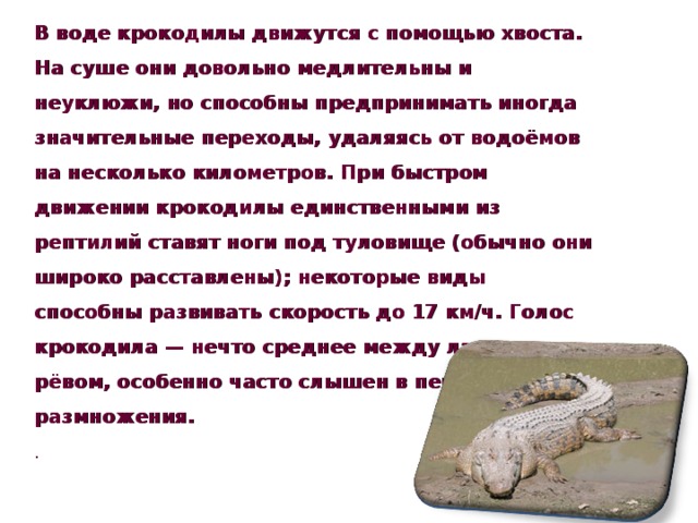 В воде крокодилы движутся с помощью хвоста. На суше они довольно медлительны и неуклюжи, но способны предпринимать иногда значительные переходы, удаляясь от водоёмов на несколько километров. При быстром движении крокодилы единственными из рептилий ставят ноги под туловище (обычно они широко расставлены); некоторые виды способны развивать скорость до 17 км/ч. Голос крокодила — нечто среднее между лаем и рёвом, особенно часто слышен в период размножения. .