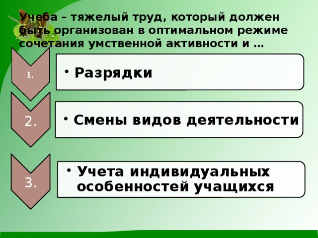 Учеба – тяжелый труд, который должен быть организован в оптимальном режиме сочетания умственной активности и … Разрядки Разрядки Смены видов деятельности Смены видов деятельности 2. Учета индивидуальных особенностей учащихся Учета индивидуальных особенностей учащихся 3.