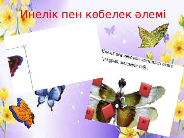 Инелік пен көбелек әлемі