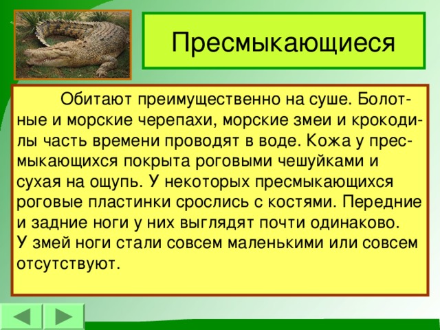 Пресмыкающиеся  Обитают преимущественно на суше. Болот- ные и морские черепахи, морские змеи и крокоди- лы часть времени проводят в воде. Кожа у прес- мыкающихся покрыта роговыми чешуйками и сухая на ощупь. У некоторых пресмыкающихся роговые пластинки срослись с костями. Передние и задние ноги у них выглядят почти одинаково. У змей ноги стали совсем маленькими или совсем отсутствуют.