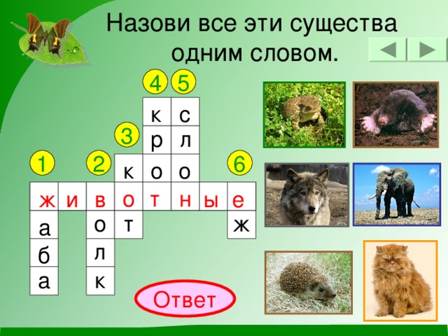 Назови все эти существа  одним словом. 5 4 с к р л 3 6 1 2 о о к в о т н е е и н ы ж т о ж в ж т о а л б а к Ответ