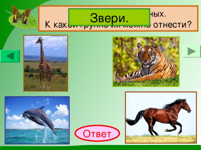 Назови этих животных.  К какой группе их можно отнести? Звери. Ответ