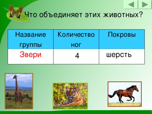 Что объединяет этих животных? Название группы Количество ног Звери Покровы шерсть 4