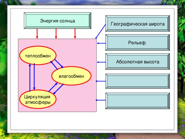 Энергия солнца Географическая широта Рельеф теплообмен Абсолютная высота влагообмен Циркуляция атмосферы