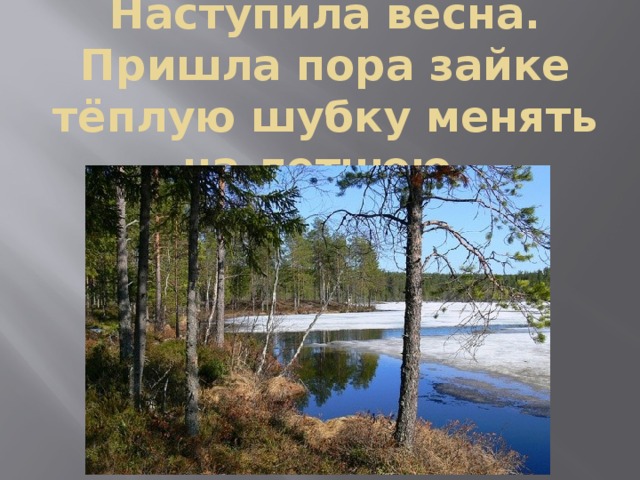 Наступила весна. Пришла пора зайке тёплую шубку менять на летнюю.