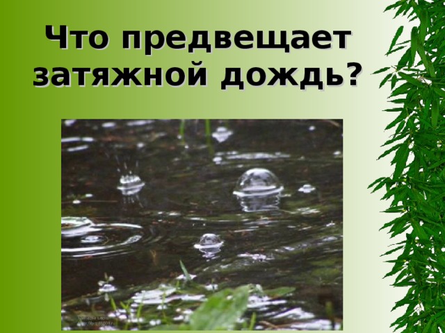 Что предвещает затяжной дождь?