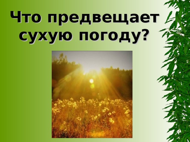 Что предвещает сухую погоду?