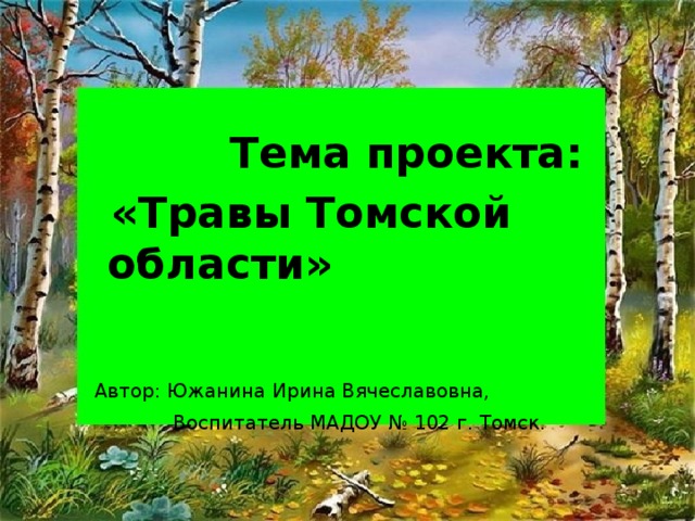 Тема проекта:  «Травы Томской области»  Автор: Южанина Ирина Вячеславовна,  Воспитатель МАДОУ № 102 г. Томск.