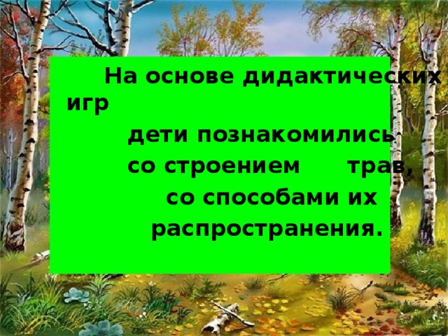 На основе дидактических игр  дети познакомились  со строением трав,  со способами их  распространения.