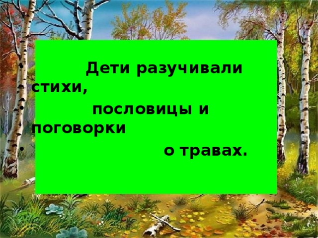 Дети разучивали стихи,  пословицы и поговорки  о травах.