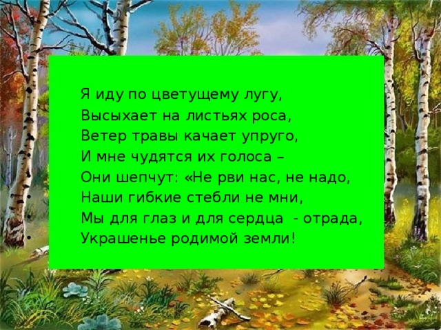 Я иду по цветущему лугу,  Высыхает на листьях роса,  Ветер травы качает упруго,  И мне чудятся их голоса –  Они шепчут: «Не рви нас, не надо,  Наши гибкие стебли не мни,  Мы для глаз и для сердца - отрада,  Украшенье родимой земли!