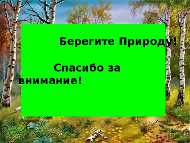 Берегите Природу!  Спасибо за внимание!