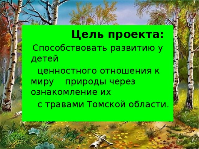 Цель проекта:  Способствовать развитию у детей  ценностного отношения к миру природы через ознакомление их  с травами Томской области.