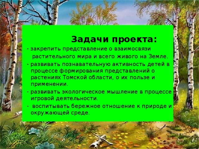 Задачи проекта:  - закрепить представление о взаимосвязи  растительного мира и всего живого на Земле.  - развивать познавательную активность детей в процессе формирования представлений о растениях Томской области, о их пользе и применении.  - развивать экологическое мышление в процессе игровой деятельности.  - воспитывать бережное отношение к природе и окружающей среде.