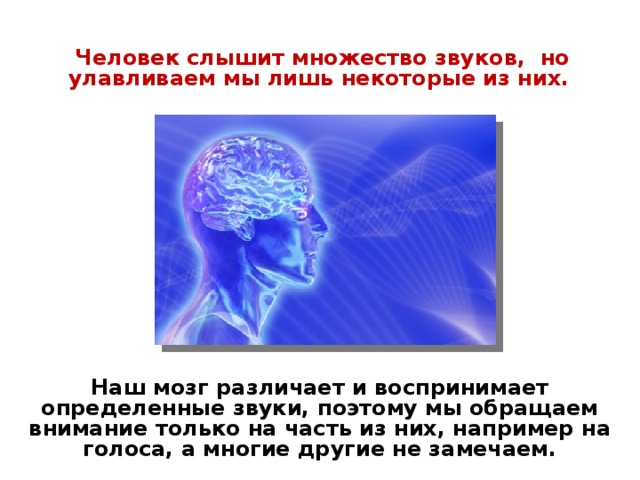 Человек слышит множество звуков, но улавливаем мы лишь некоторые из них. Наш мозг различает и воспринимает определенные звуки, поэтому мы обращаем внимание только на часть из них, например на голоса, а многие другие не замечаем.