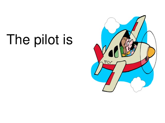 The pilot is