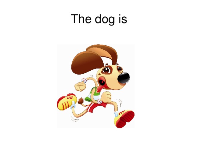 The dog is