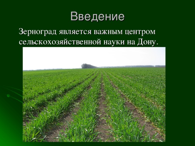 Введение  Зерноград является важным центром сельскохозяйственной науки на Дону.