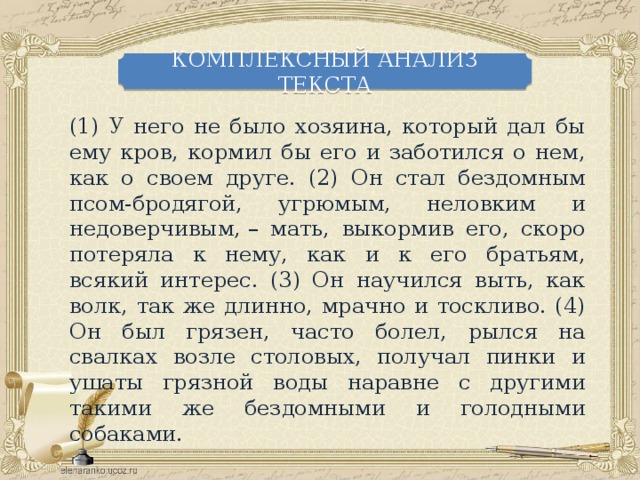 КОМПЛЕКСНЫЙ АНАЛИЗ ТЕКСТА (1) У него не было хозяина, который дал бы ему кров, кормил бы его и заботился о нем, как о своем друге. (2) Он стал бездомным псом-бродягой, угрюмым, неловким и недоверчивым, – мать, выкормив его, скоро потеряла к нему, как и к его братьям, всякий интерес. (3) Он научился выть, как волк, так же длинно, мрачно и тоскливо. (4) Он был грязен, часто болел, рылся на свалках возле столовых, получал пинки и ушаты грязной воды наравне с другими такими же бездомными и голодными собаками.