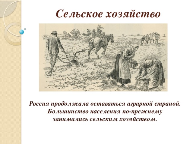 Сельское хозяйство Россия продолжала оставаться аграрной страной. Большинство населения по-прежнему занимались сельским хозяйством.