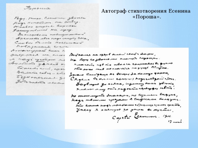 Автограф стихотворения Есенина «Пороша».