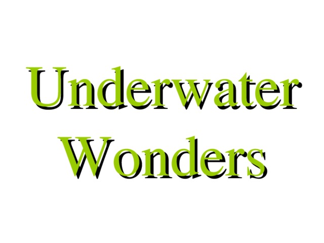 Underwater Wonders