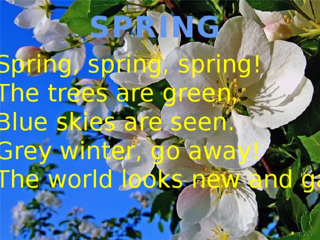 SPRING Spring, spring, spring! The trees are green, Blue skies are seen. Grey winter, go away! The world looks new and gay.