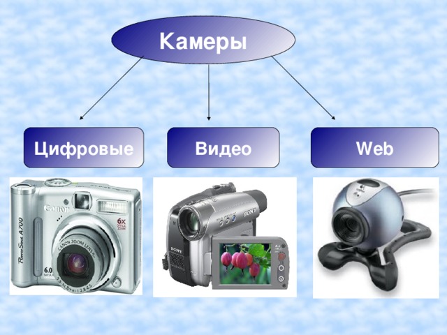 Камеры Цифровые Видео Web