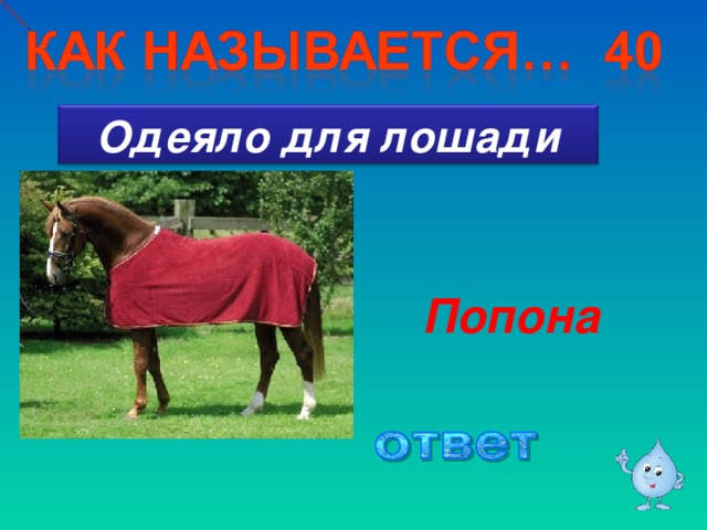 Одеяло для лошади Попона