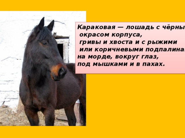 Караковая — лошадь с чёрным  окрасом корпуса,  гривы и хвоста и с рыжими  или коричневыми подпалинами на морде, вокруг глаз, под мышками и в пахах.