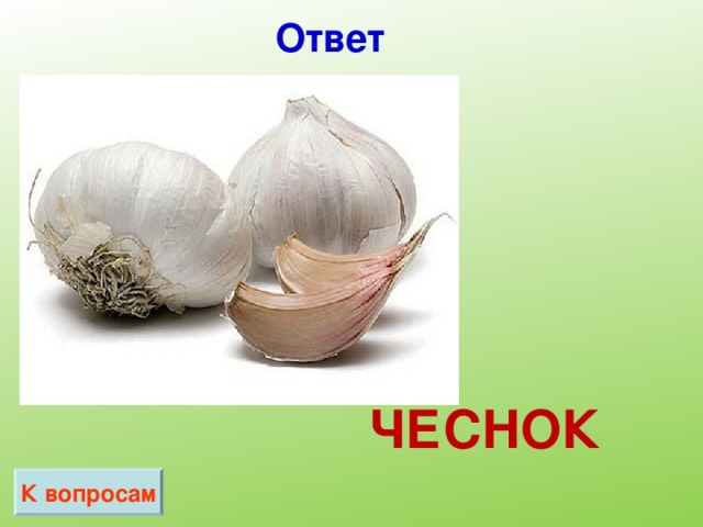 Ответ ЧЕСНОК К вопросам