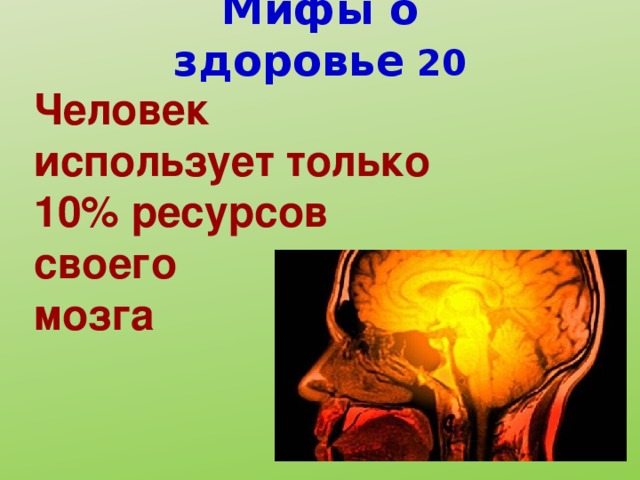 Мифы о здоровье 20 Человек использует только 10% ресурсов своего мозга