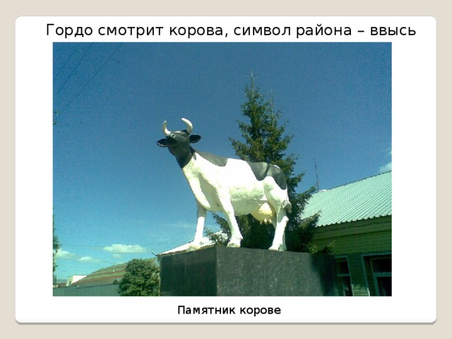 Гордо смотрит корова, символ района – ввысь Памятник корове