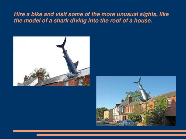 Hire a bike and visit some of the more unusual sights, like the model of a shark diving into the roof of a house.