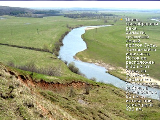 Пьяна своеобразная река области, крупнейший левый приток Суры, чрезвычайно извилиста. Исток ее расположен в 30 км от Суры, на окраине с. Сарабаево Сеченовского района, а устье всего в 60 км от истока при длине реки 436 км.