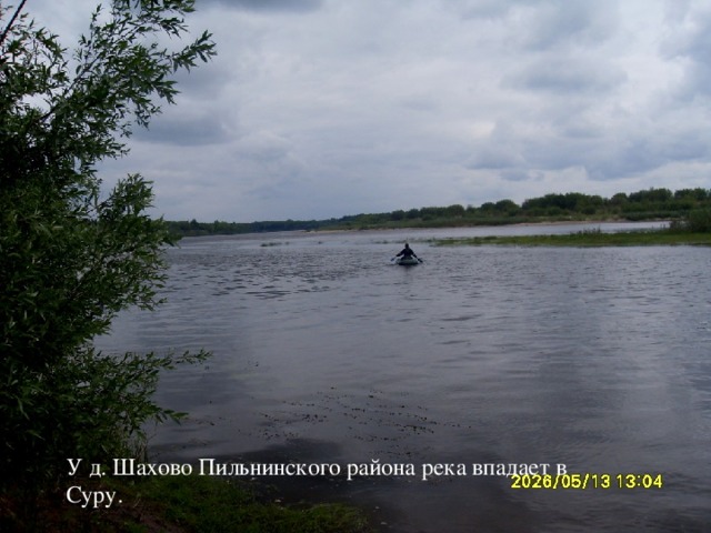 У д. Шахово Пильнинского района река впадает в Суру.