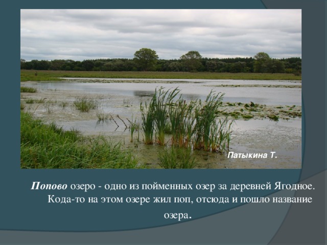 Патыкина Т. Попово озеро - одно из пойменных озер за деревней Ягодное. Кода-то на этом озере жил поп, отсюда и пошло название озера .